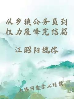 從鄉(xiāng)鎮(zhèn)公務員到權力巔峰完結(jié)篇