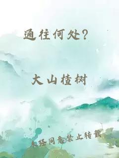 通往何處？